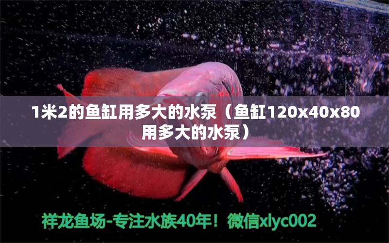 1米2的魚(yú)缸用多大的水泵（魚(yú)缸120x40x80用多大的水泵） 其他品牌魚(yú)缸 第2張