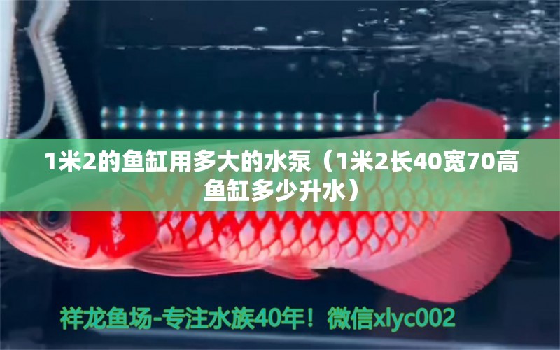 1米2的魚缸用多大的水泵（1米2長(zhǎng)40寬70高魚缸多少升水）