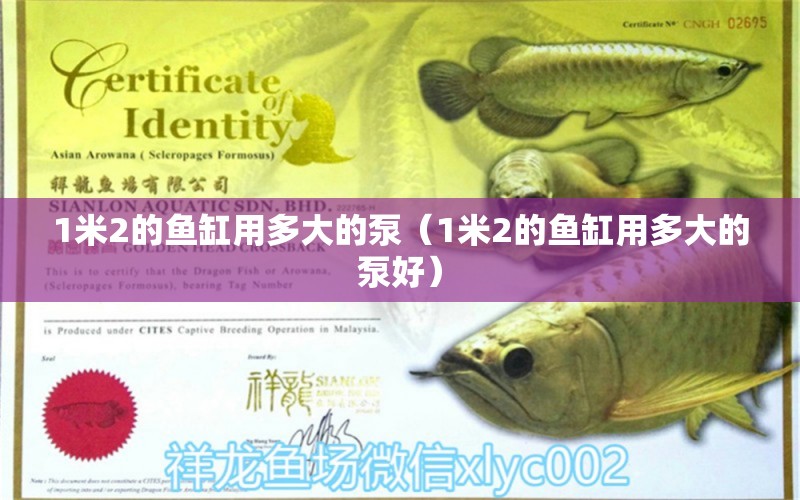 1米2的魚缸用多大的泵（1米2的魚缸用多大的泵好）