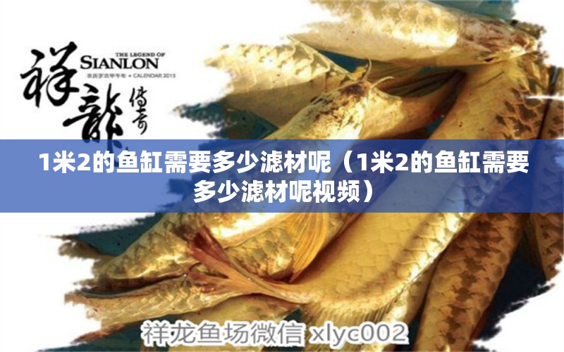 1米2的魚缸需要多少濾材呢（1米2的魚缸需要多少濾材呢視頻）