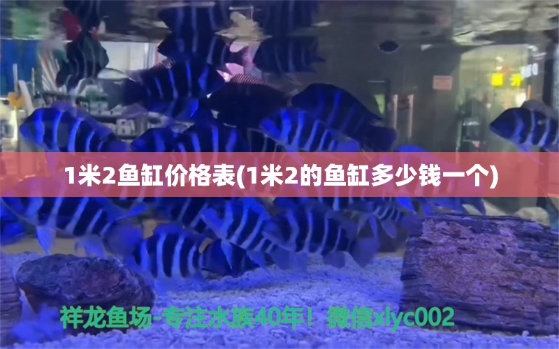 1米2魚缸價(jià)格表(1米2的魚缸多少錢一個(gè)) 蝴蝶鯉魚苗