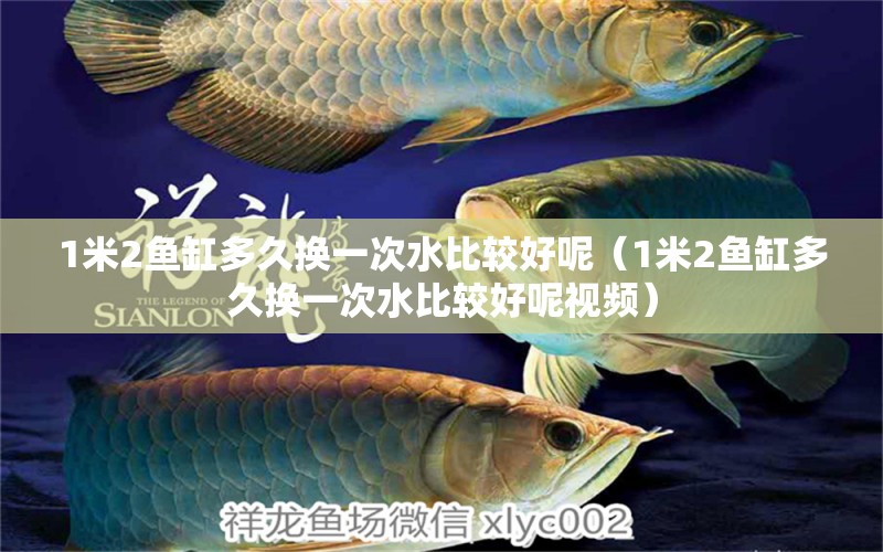 1米2魚(yú)缸多久換一次水比較好呢（1米2魚(yú)缸多久換一次水比較好呢視頻）