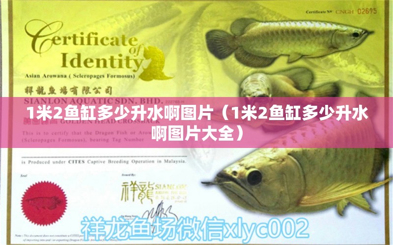 1米2魚(yú)缸多少升水啊圖片（1米2魚(yú)缸多少升水啊圖片大全）