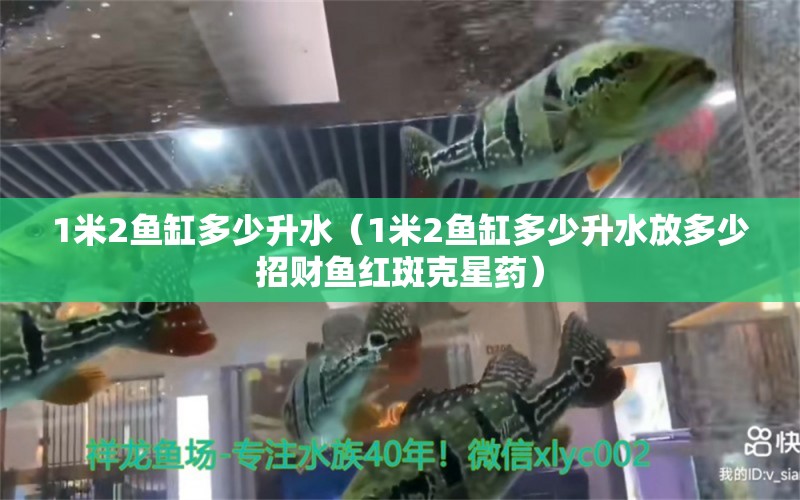 1米2魚缸多少升水（1米2魚缸多少升水放多少招財魚紅斑克星藥） 其他品牌魚缸