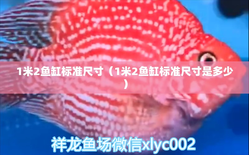 1米2魚(yú)缸標(biāo)準(zhǔn)尺寸（1米2魚(yú)缸標(biāo)準(zhǔn)尺寸是多少）