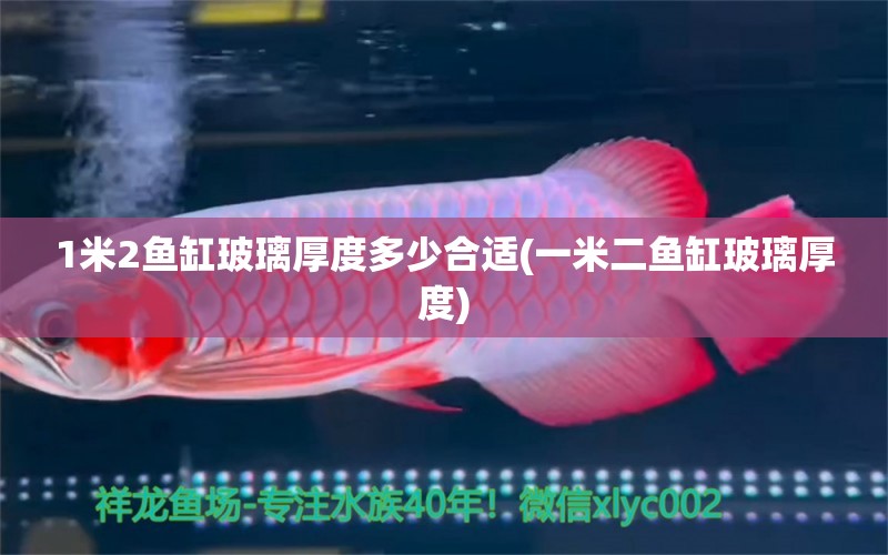 1米2魚缸玻璃厚度多少合適(一米二魚缸玻璃厚度)