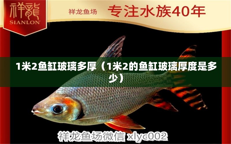 1米2魚缸玻璃多厚（1米2的魚缸玻璃厚度是多少）