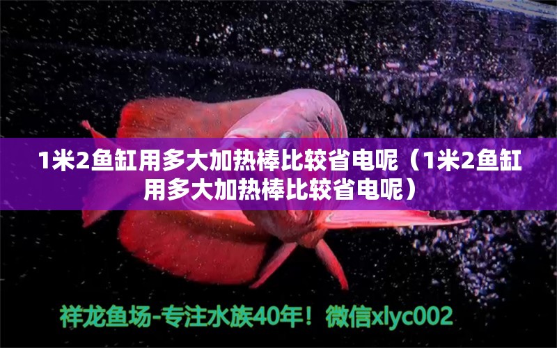 1米2魚缸用多大加熱棒比較省電呢（1米2魚缸用多大加熱棒比較省電呢） 魚缸百科