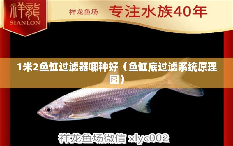 1米2魚缸過濾器哪種好（魚缸底過濾系統(tǒng)原理圖） 魚缸百科