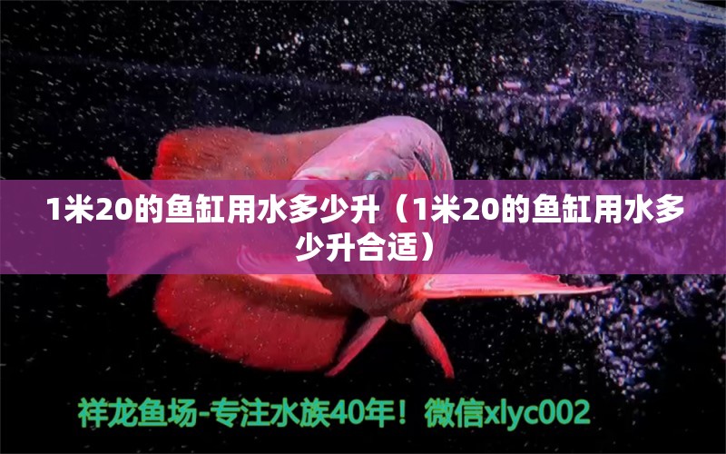 1米20的魚(yú)缸用水多少升（1米20的魚(yú)缸用水多少升合適）