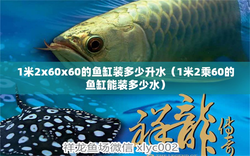 1米2x60x60的魚缸裝多少升水（1米2乘60的魚缸能裝多少水）