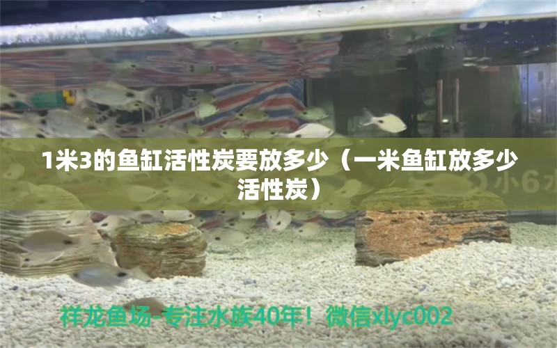 1米3的魚缸活性炭要放多少（一米魚缸放多少活性炭） 其他品牌魚缸