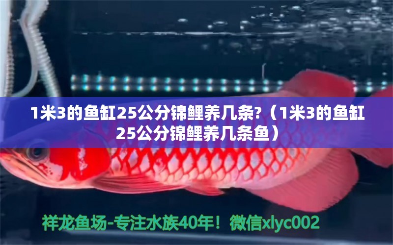 1米3的魚缸25公分錦鯉養(yǎng)幾條?（1米3的魚缸25公分錦鯉養(yǎng)幾條魚） 其他品牌魚缸