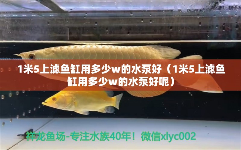 1米5上濾魚缸用多少w的水泵好（1米5上濾魚缸用多少w的水泵好呢） 魚缸百科