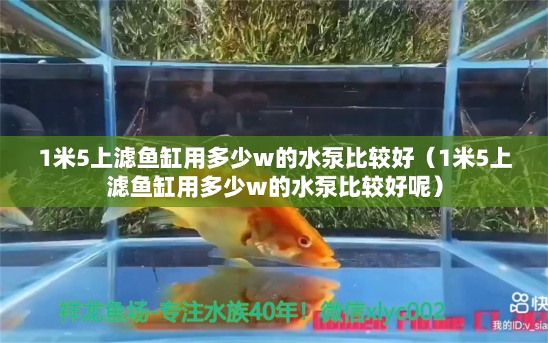 1米5上濾魚缸用多少w的水泵比較好（1米5上濾魚缸用多少w的水泵比較好呢）