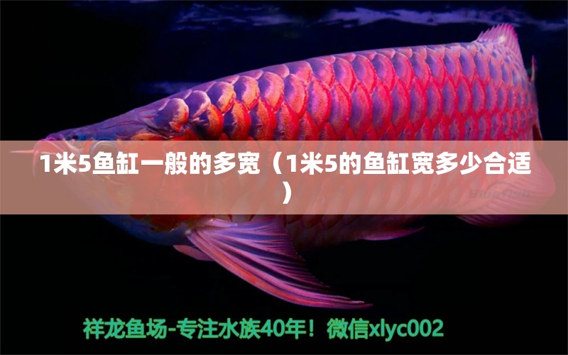 1米5魚缸一般的多寬（1米5的魚缸寬多少合適）