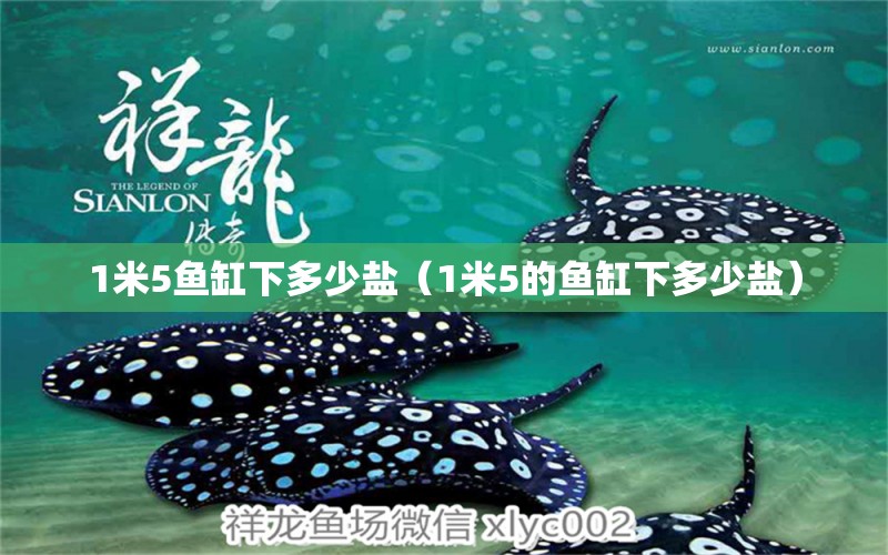 1米5魚缸下多少鹽（1米5的魚缸下多少鹽） 其他品牌魚缸