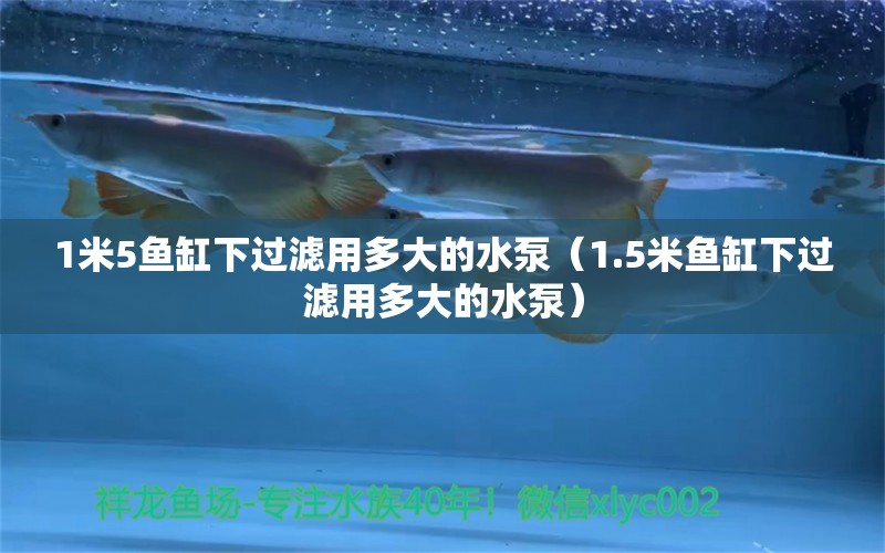 1米5魚缸下過濾用多大的水泵（1.5米魚缸下過濾用多大的水泵）