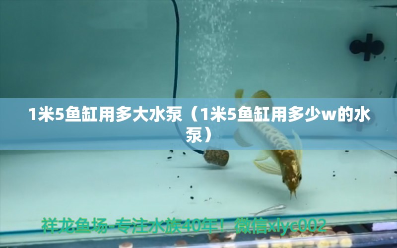 1米5魚缸用多大水泵（1米5魚缸用多少w的水泵）