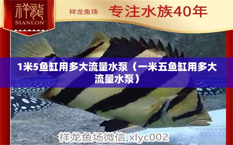 1米5魚缸用多大流量水泵（一米五魚缸用多大流量水泵） 魚缸百科