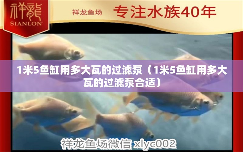 1米5魚缸用多大瓦的過濾泵（1米5魚缸用多大瓦的過濾泵合適）