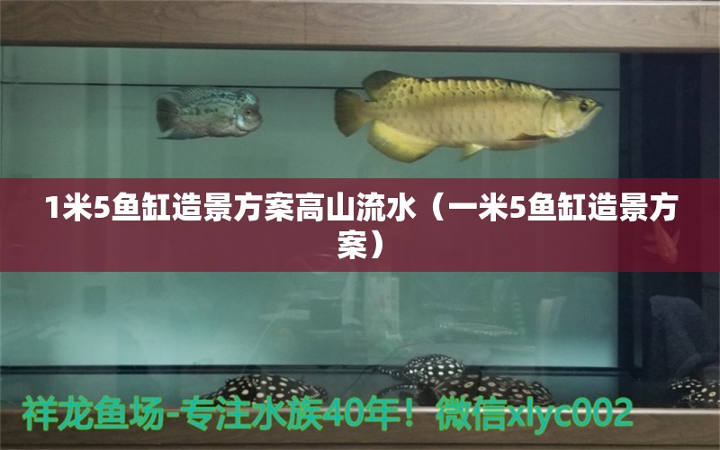 1米5魚缸造景方案高山流水（一米5魚缸造景方案）