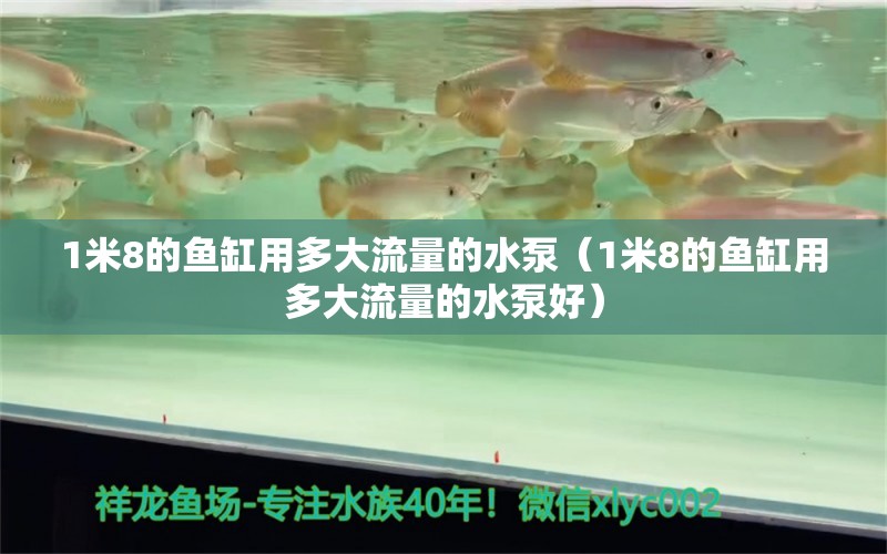 1米8的魚缸用多大流量的水泵（1米8的魚缸用多大流量的水泵好）