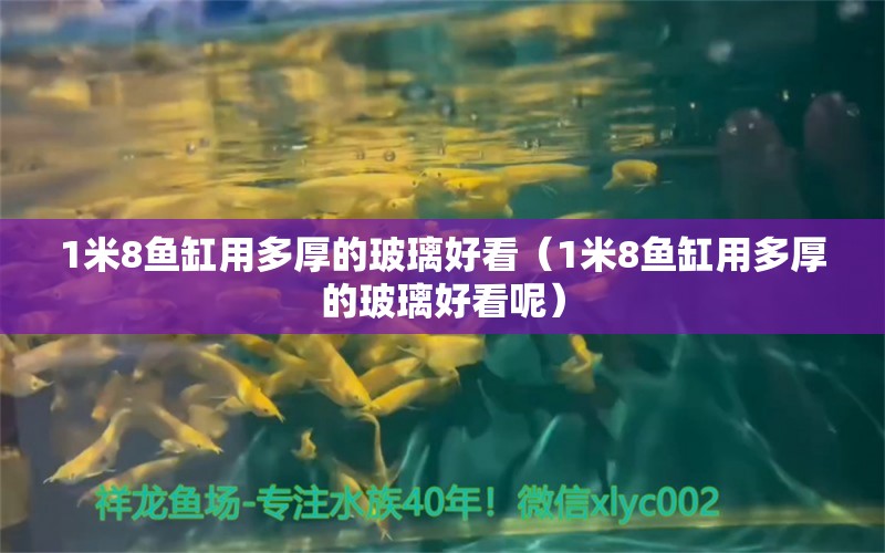 1米8魚缸用多厚的玻璃好看（1米8魚缸用多厚的玻璃好看呢） 魚缸百科