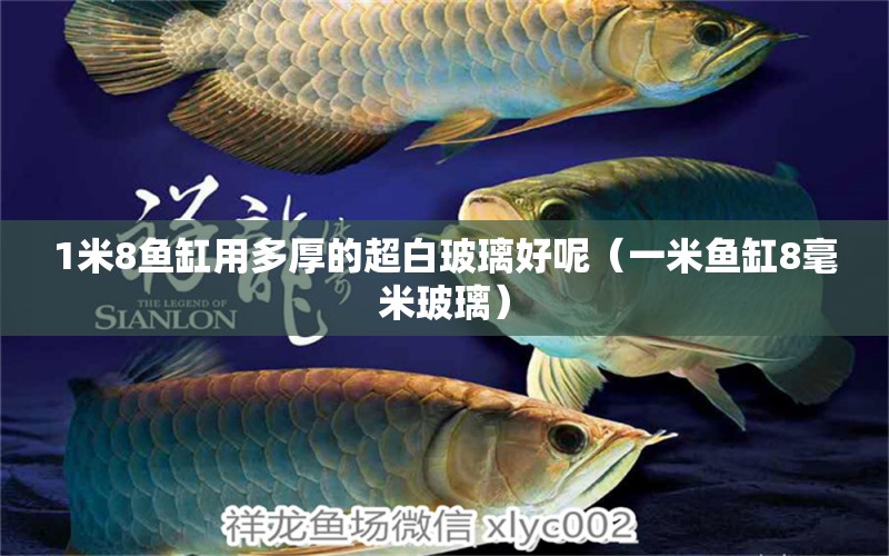 1米8魚缸用多厚的超白玻璃好呢（一米魚缸8毫米玻璃）