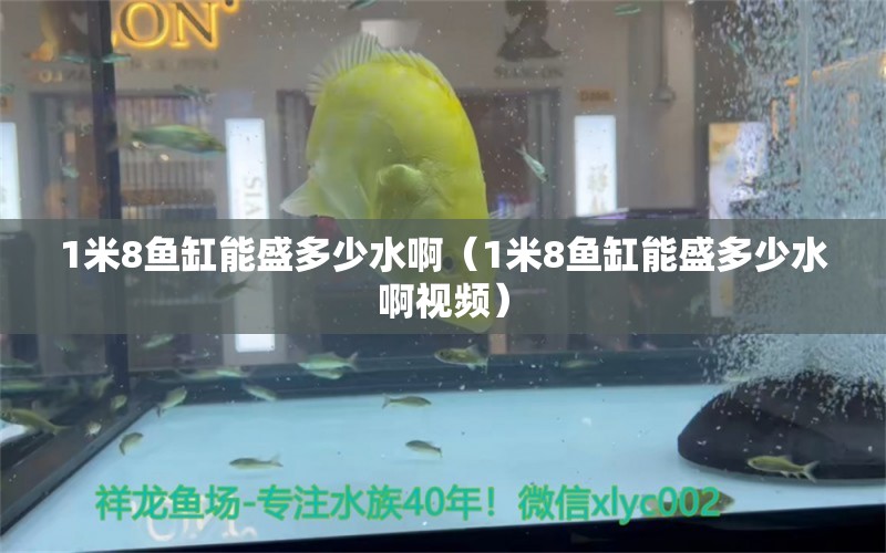 1米8魚缸能盛多少水?。?米8魚缸能盛多少水啊視頻） 魚缸百科