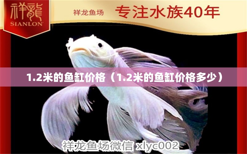 1.2米的魚缸價格（1.2米的魚缸價格多少） 祥龍水族醫(yī)院