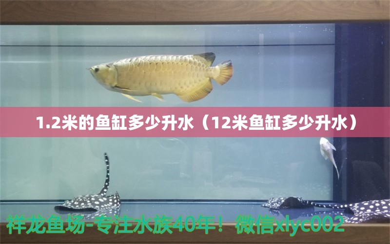 1.2米的魚缸多少升水（12米魚缸多少升水）