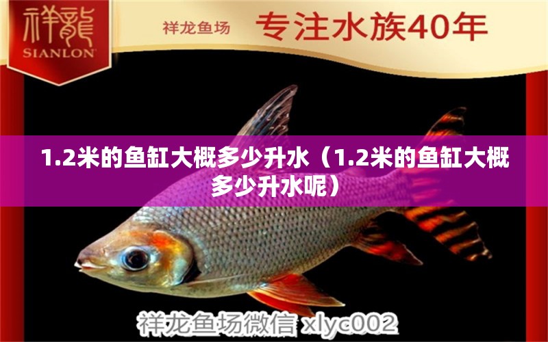 1.2米的魚缸大概多少升水（1.2米的魚缸大概多少升水呢） 其他品牌魚缸