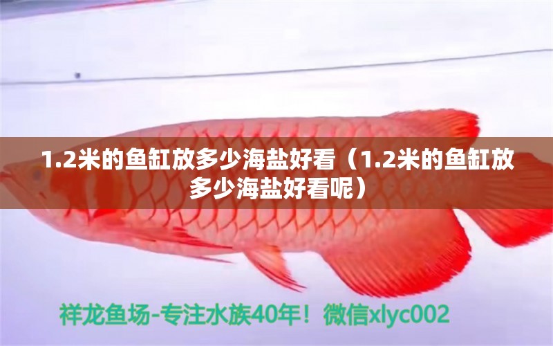 1.2米的魚缸放多少海鹽好看（1.2米的魚缸放多少海鹽好看呢） 其他品牌魚缸