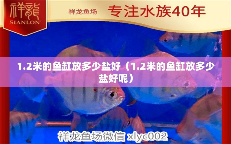 1.2米的魚缸放多少鹽好（1.2米的魚缸放多少鹽好呢）