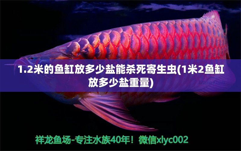 1.2米的魚缸放多少鹽能殺死寄生蟲(1米2魚缸放多少鹽重量)