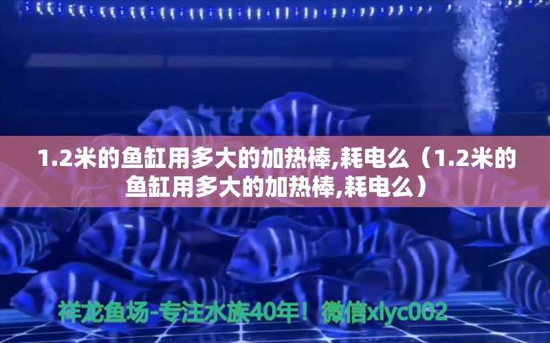 1.2米的魚缸用多大的加熱棒,耗電么（1.2米的魚缸用多大的加熱棒,耗電么）