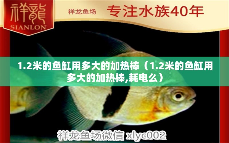 1.2米的魚缸用多大的加熱棒（1.2米的魚缸用多大的加熱棒,耗電么） 魚缸百科