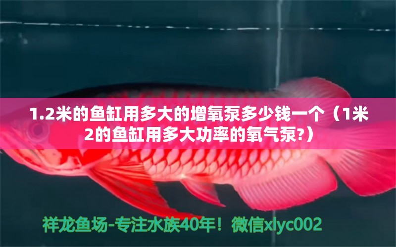 1.2米的魚缸用多大的增氧泵多少錢一個(gè)（1米2的魚缸用多大功率的氧氣泵?） 其他品牌魚缸