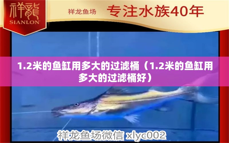 1.2米的魚缸用多大的過濾桶（1.2米的魚缸用多大的過濾桶好） 祥龍水族醫(yī)院