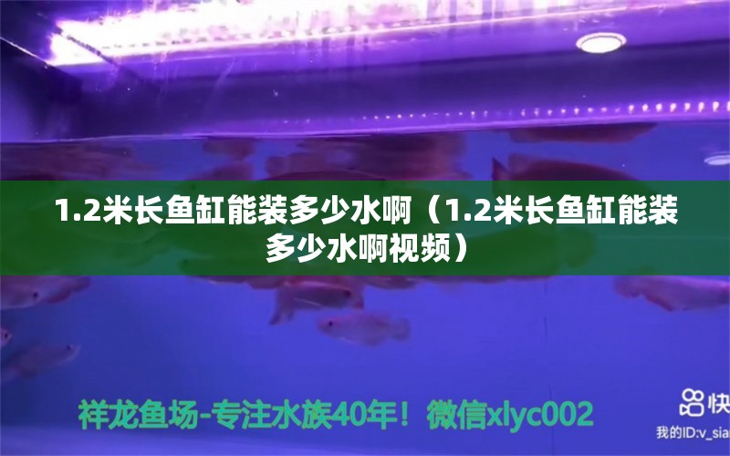 1.2米長(zhǎng)魚(yú)缸能裝多少水?。?.2米長(zhǎng)魚(yú)缸能裝多少水啊視頻）