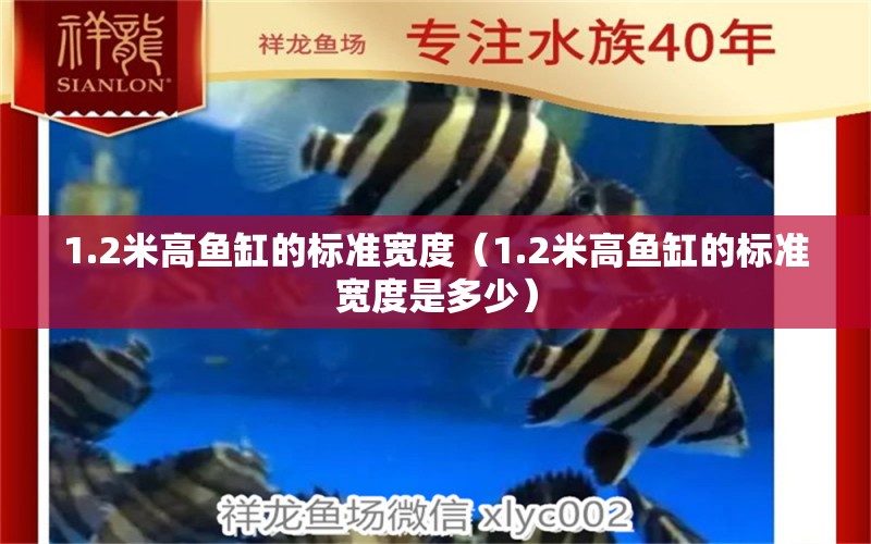 1.2米高魚(yú)缸的標(biāo)準(zhǔn)寬度（1.2米高魚(yú)缸的標(biāo)準(zhǔn)寬度是多少）