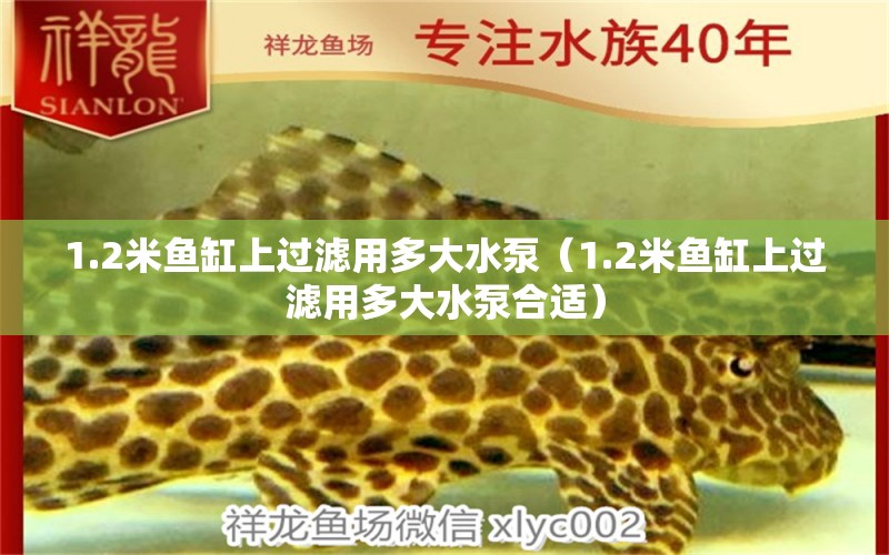 1.2米魚(yú)缸上過(guò)濾用多大水泵（1.2米魚(yú)缸上過(guò)濾用多大水泵合適）