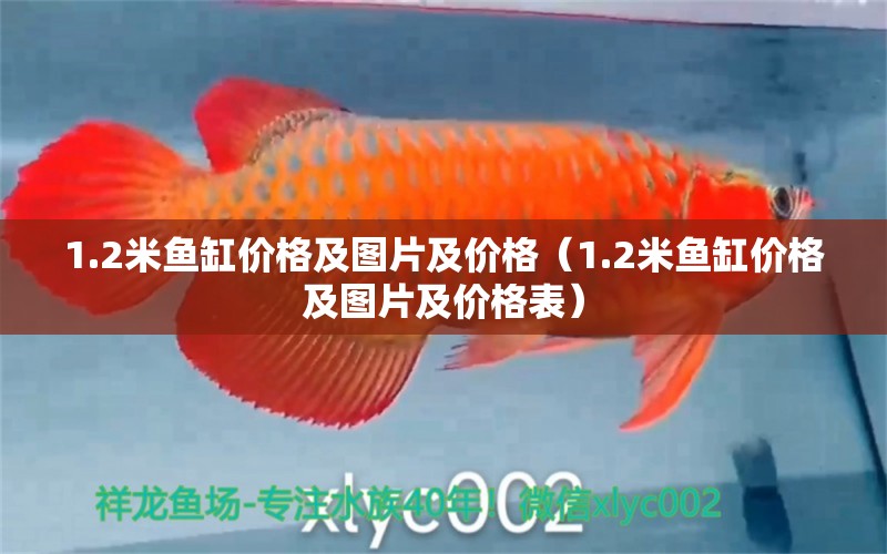 1.2米魚缸價格及圖片及價格（1.2米魚缸價格及圖片及價格表）