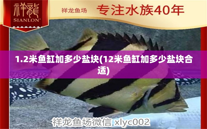 1.2米魚缸加多少鹽塊(12米魚缸加多少鹽塊合適)