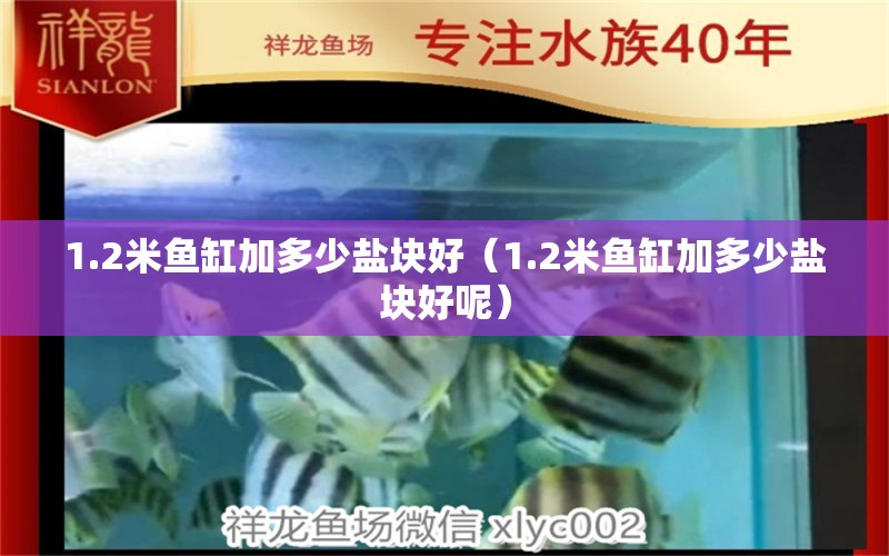 1.2米魚缸加多少鹽塊好（1.2米魚缸加多少鹽塊好呢） 其他品牌魚缸