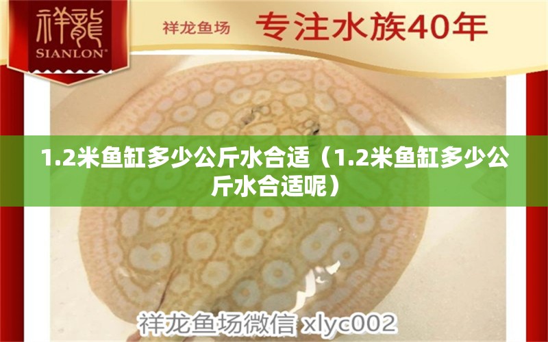 1.2米魚缸多少公斤水合適（1.2米魚缸多少公斤水合適呢） 其他品牌魚缸