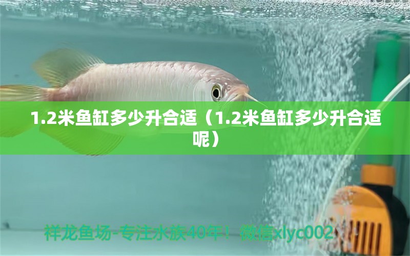 1.2米魚缸多少升合適（1.2米魚缸多少升合適呢）