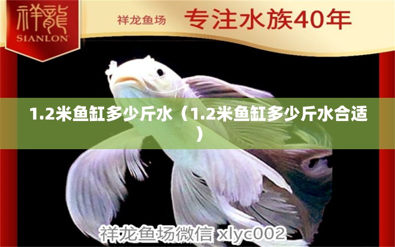 1.2米魚缸多少斤水（1.2米魚缸多少斤水合適） 其他品牌魚缸