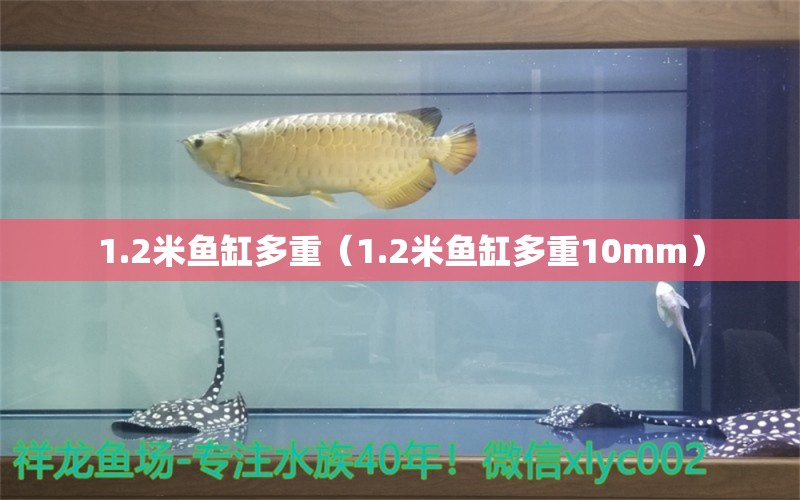 1.2米魚缸多重（1.2米魚缸多重10mm）